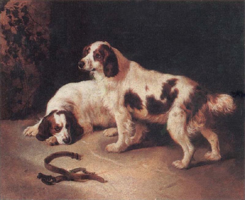 George Horlor Brittany Spaniels oil painting image